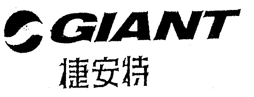  em>giant /em> 捷安特