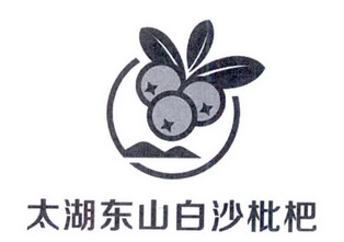  em>太湖 /em> em>东山 /em>白沙枇杷