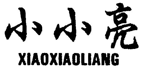  em>小小亮 /em>