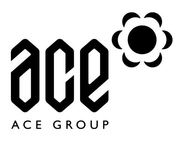  em>ace /em>  em>ace /em>  em>group /em>