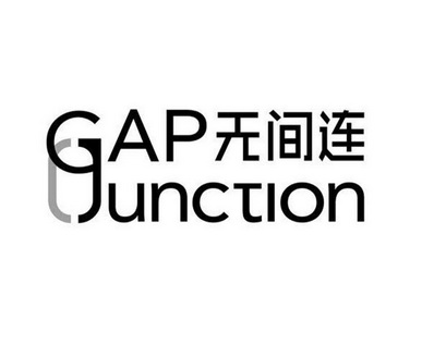 em>无 /em> em>间 /em> em>连 /em>  em>gap /em>  em>junction /em>
