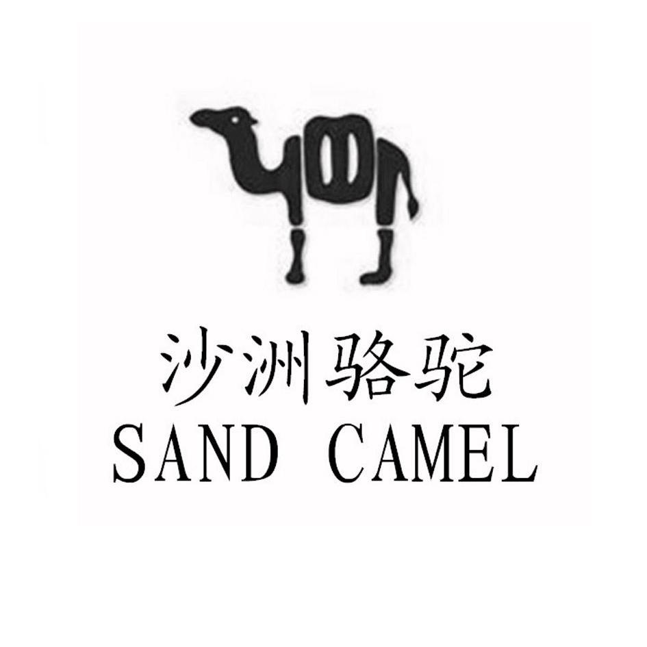 em>沙洲 /em> em>骆驼 /em>  em>sand /em>  em>camel /em>