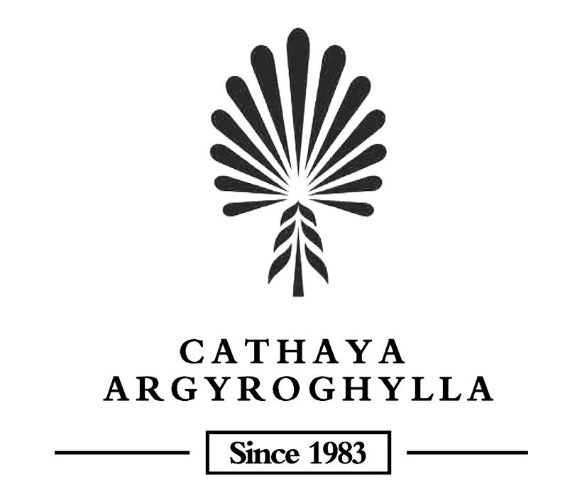 cathaya argyroghylla since 1983