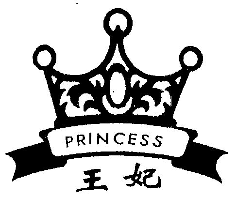 princess好看的字体图片