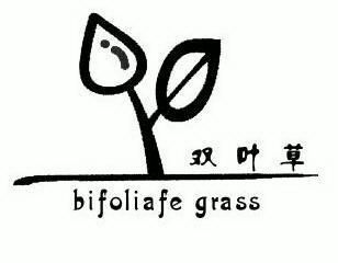  em>双叶草 /em>; em>bifoliafegrass /em>
