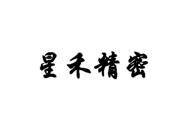  em>星禾 /em> em>精密 /em>