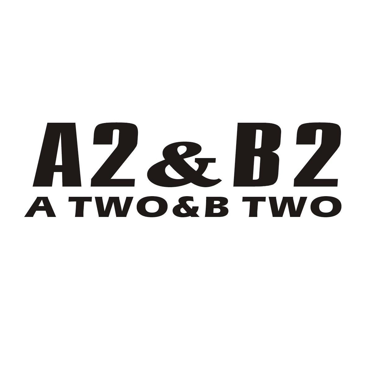 a2&b em>2 /em> a two&b two