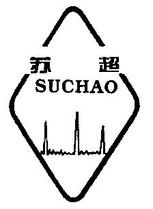  em>苏超 /em>