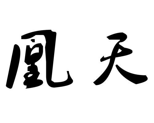 凰天- 企业商标大全 - 商标信息查询 - 爱企查