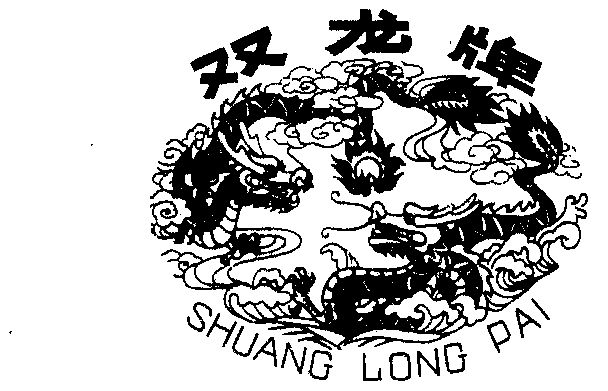 双龙                                      