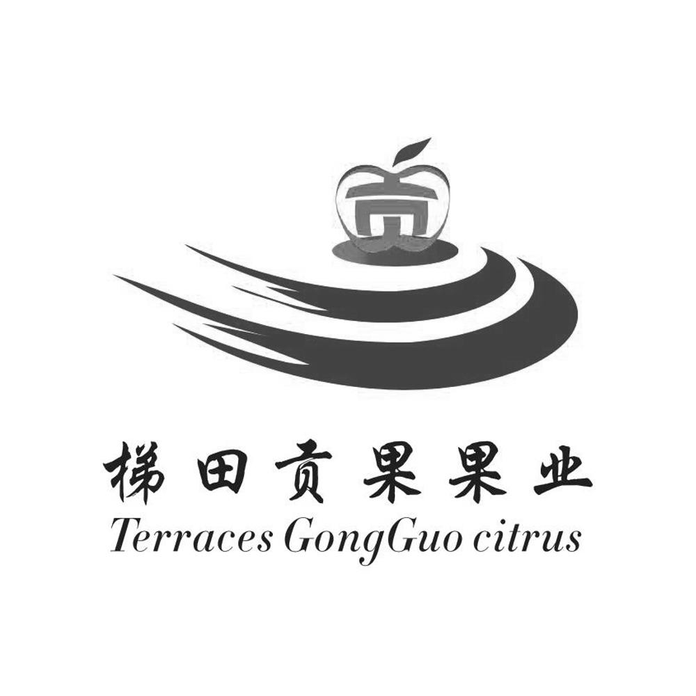 梯田贡果果业 terraces gongguo citrus 商标注册申请