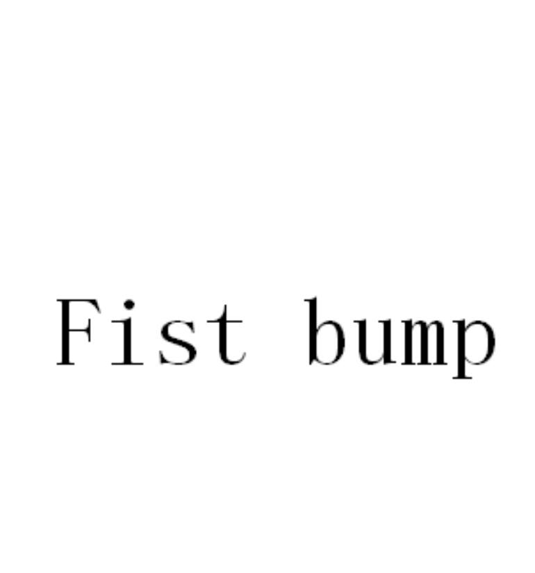  em>fist /em>  em>bump /em>