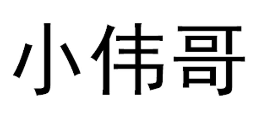 小伟哥个人简介图片