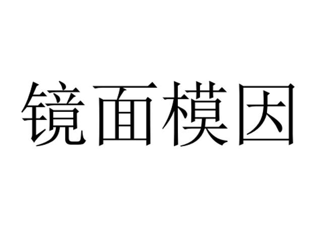 镜面模因 