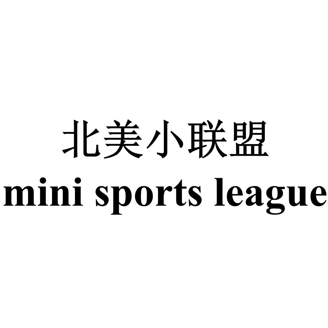 北美 em>小联盟/em mini sports league