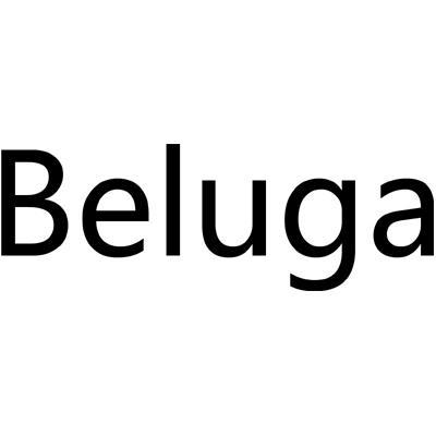 beluga 头像图片