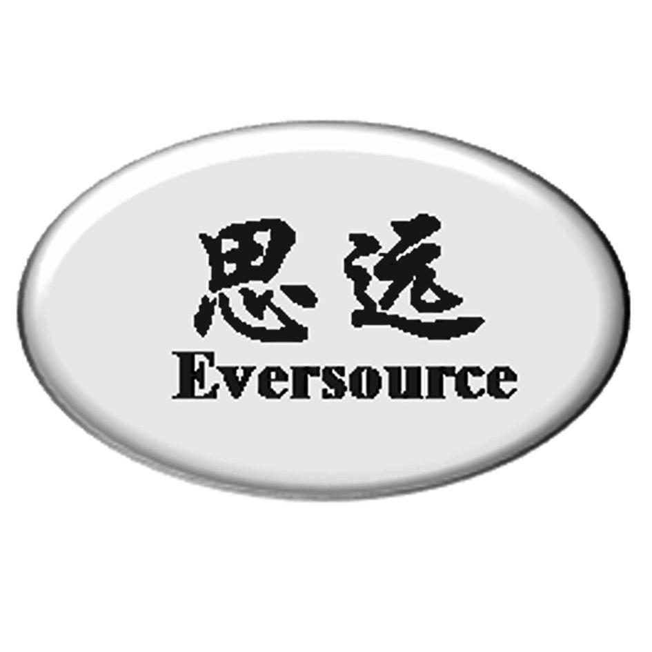 思远 em>ever /em>source