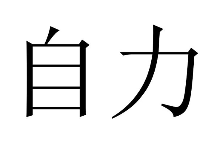 自力 商标注册申请