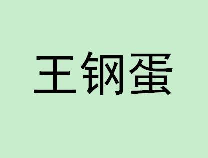  em>王钢蛋 /em>