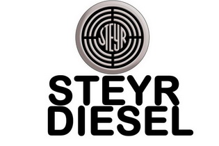 04国际分类:第09类-科学仪器商标申请人:斯太尔动力控股有限责任公司