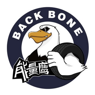  em>能量 /em> em>鹰 /em> back bone