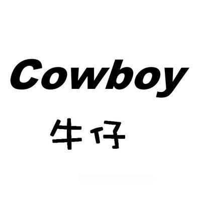  em>牛仔 /em>  em>cowboy /em>