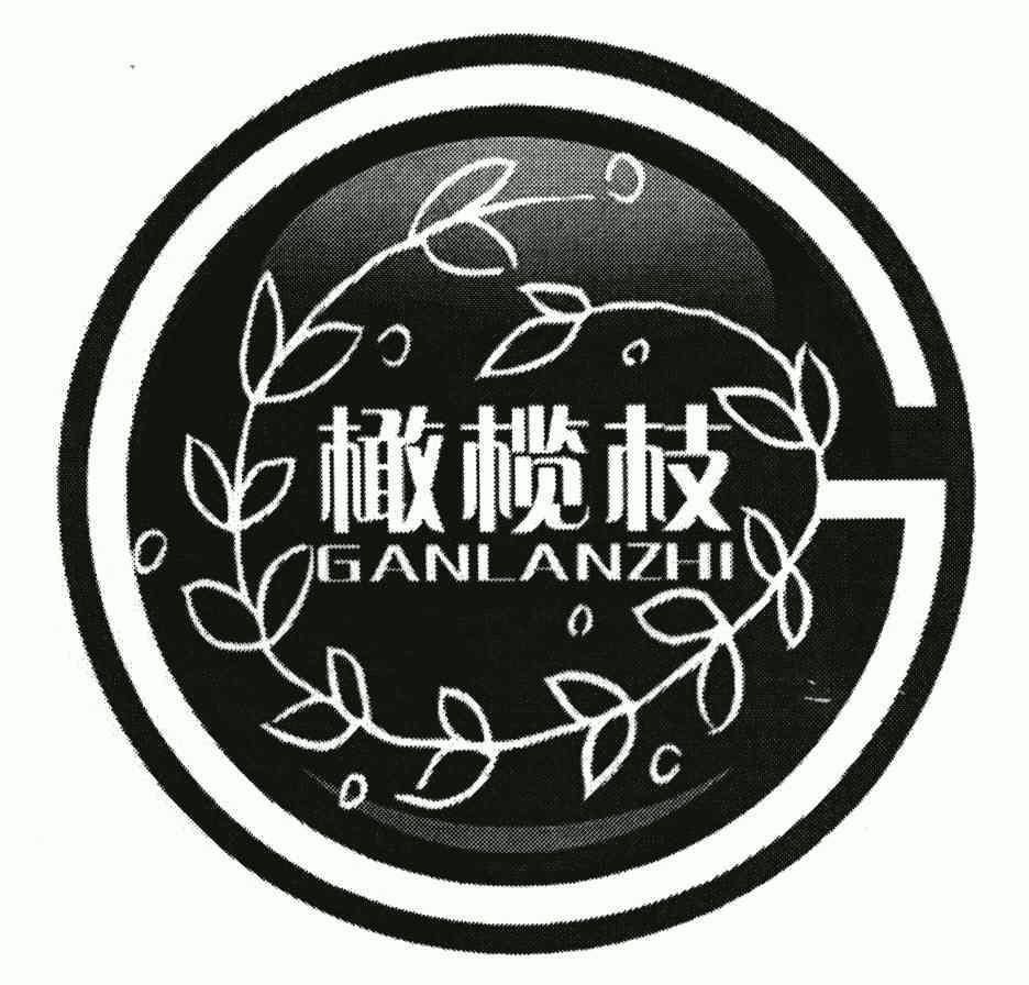  em>橄榄枝 /em>; em>g /em>