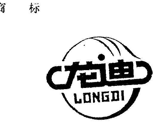 龙迪