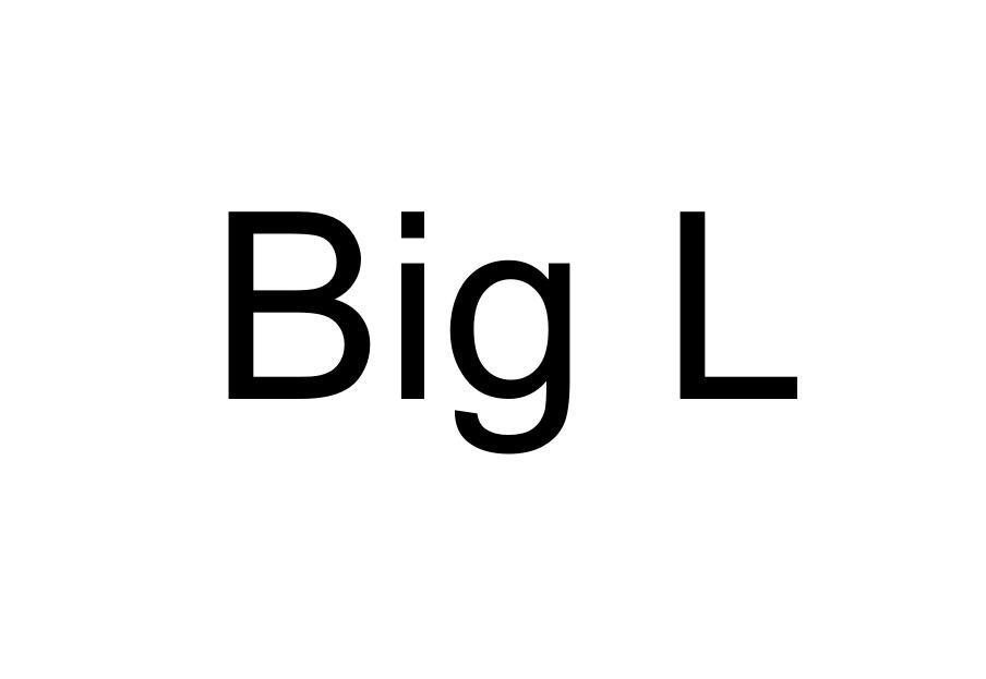  em>big /em>  em>l /em>