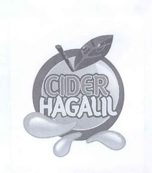 em>cider/em em>hagalil/em>