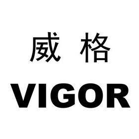  em>威格 /em>  em>vigor /em>