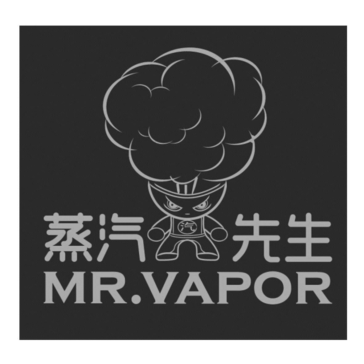 em>蒸汽/em em>先生/em mr.vapor