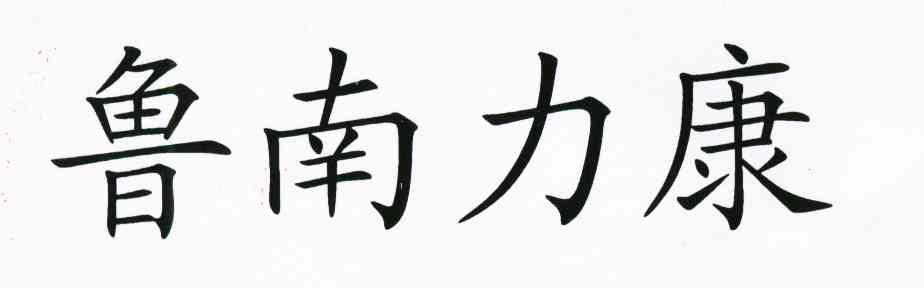 鲁南力康                                  