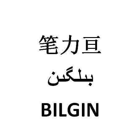 笔力亘 em>bilgin/em>