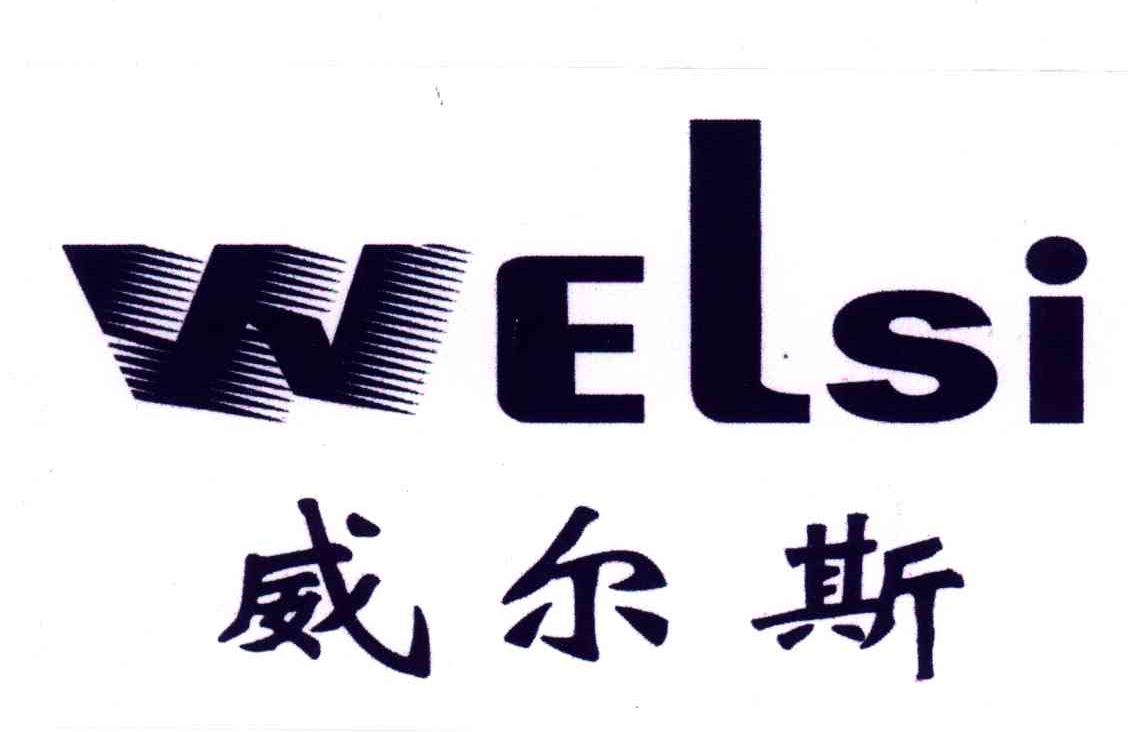 em>威尔斯/em em>welsi/em>