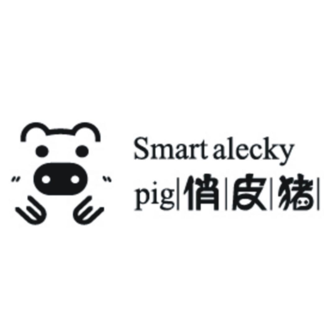  em>俏皮 /em> em>猪 /em> smart alecky  em>pig /em>