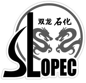  em>双龙 /em> em>石化 /em>  em>slopec /em>