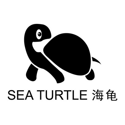 海龟 em>sea /em>  em>turtle /em>