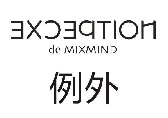 例外 exception de mixmind                 