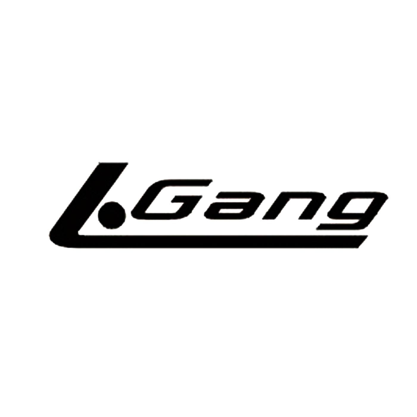 lgang_企业商标大全_商标信息查询_爱企查