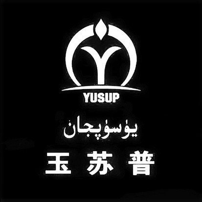 2申请日期2020-12-05申请人名称(中文)玉苏普·阿木提申请人名称(英文