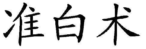  em>准 /em> em>白术 /em>