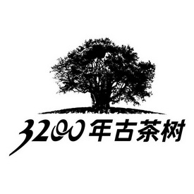  em>年 /em> em>古 /em>茶树