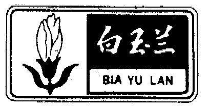  em>白玉兰 /em>