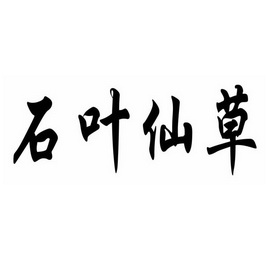  em>石 /em> em>叶 /em> em>仙草 /em>