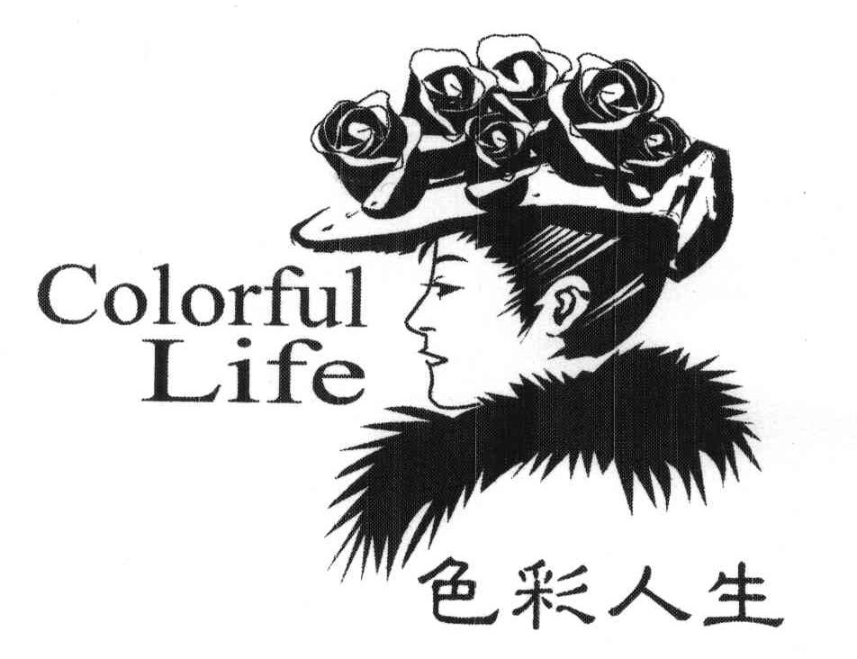 色彩人生;colorful life                    