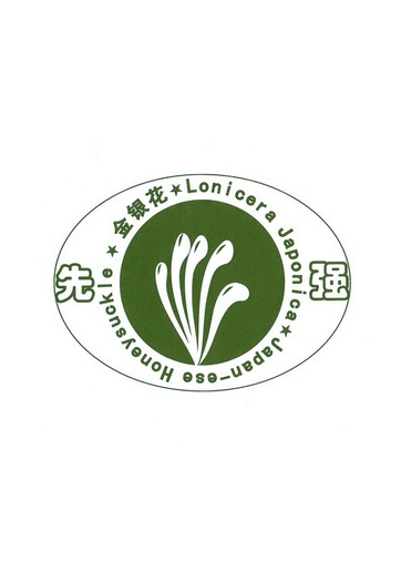 先强 em>金银花 /em>  em>lonic /em> em>era /em> japonica japanese