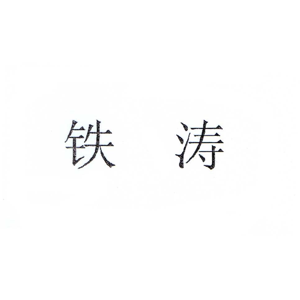  em>铁涛 /em>