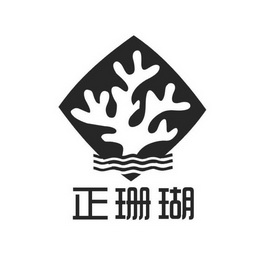  em>正 /em> em>珊瑚 /em>