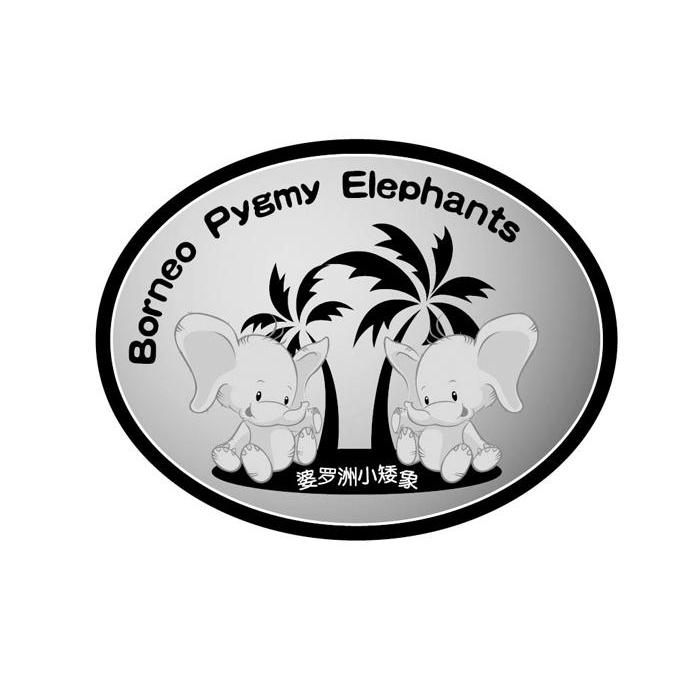borneo pygmy elephants
